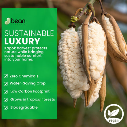 Kapok Sleep Pillow – Organic Cotton Vegan Design