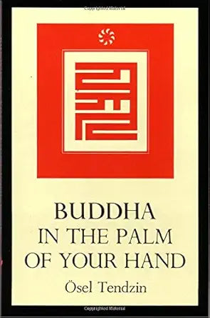 Buddha in the Palm of Your Hand cover image