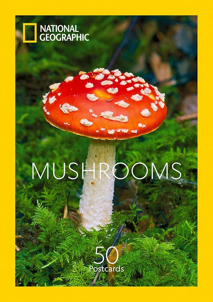 Mushrooms: 50 Postcards cover image