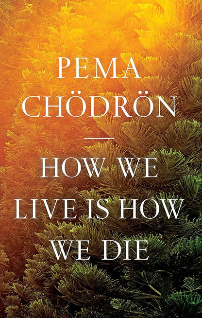 How We Live Is How We Die cover image