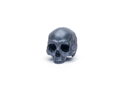 Skull Bookends (Pair)