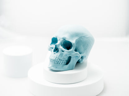 Skull Sculpture (4-inch, Handcrafted Resin)