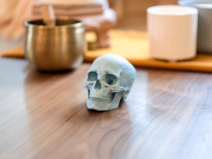 Skull Sculpture (4-inch, Handcrafted Resin)