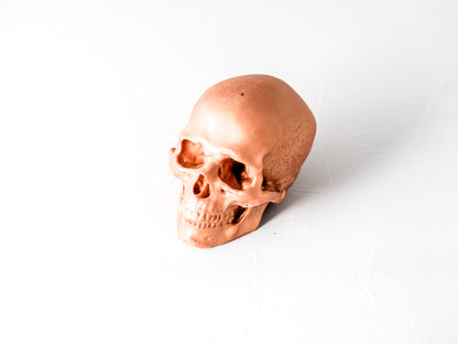 Copper Skull Sculpture (4-inch, Handcrafted Resin)