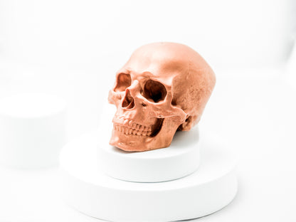 Copper Skull Sculpture (4-inch, Handcrafted Resin)