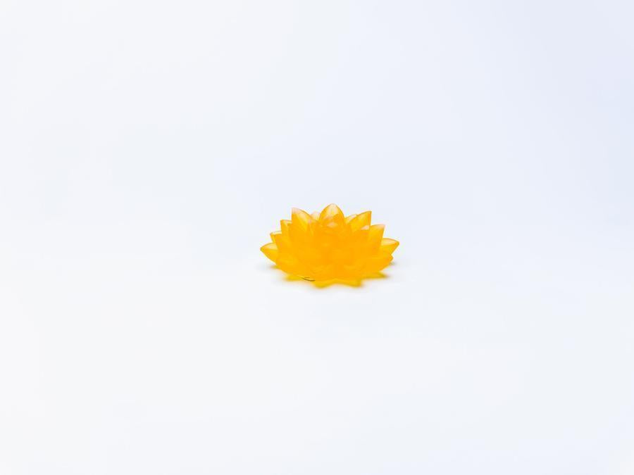 Yellow / Wide Rounded