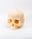 Skull Candle (Without Mandible)