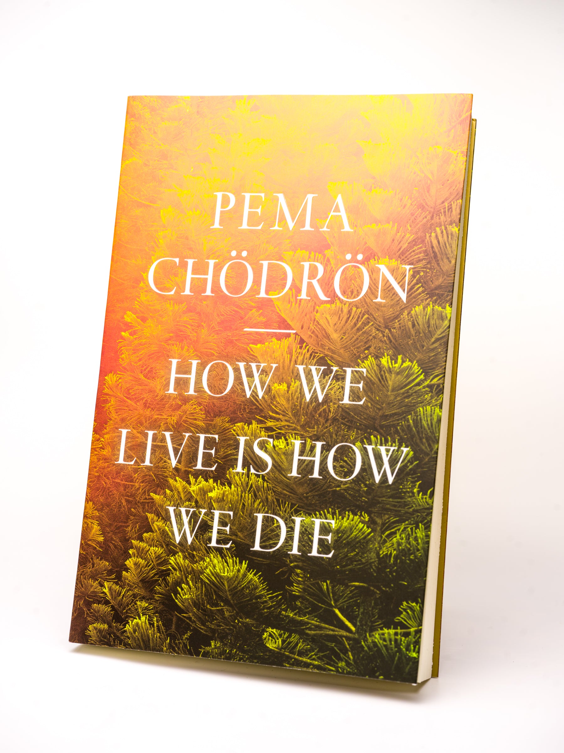 How We Live Is How We Die – Pema Chödrön
