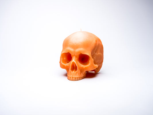 Large Skull Candle (Without Mandible)