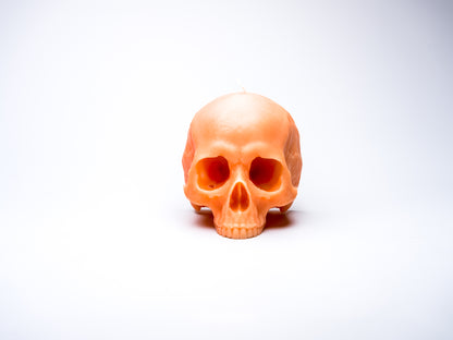 Large Skull Candle (Without Mandible)