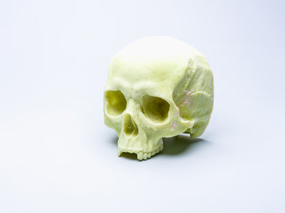 Large Skull Candle (Without Mandible)