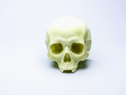 Large Skull Candle (Without Mandible)