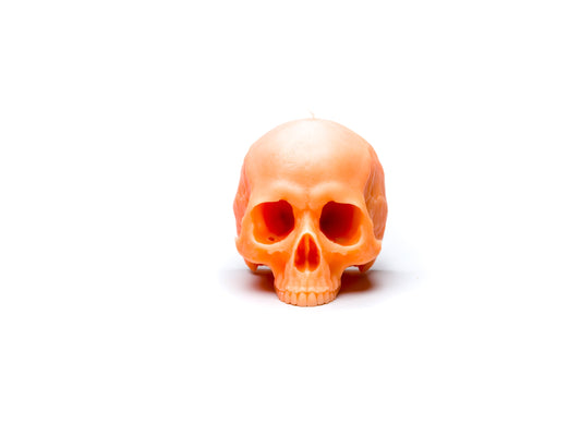 Skull Candle (Without Mandible)