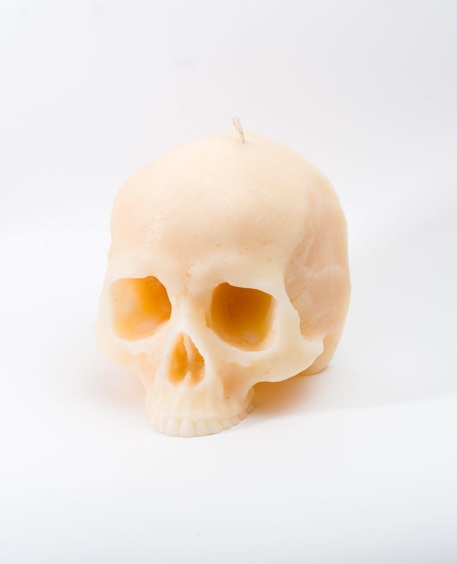 Skull Candle (Without Mandible)