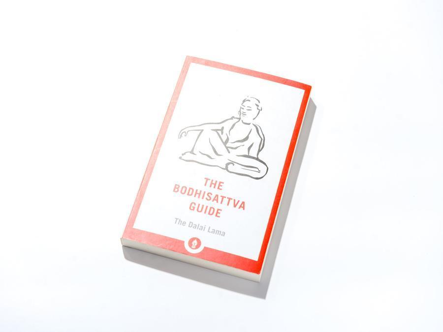 The Bodhisattva's Guide by His Holliness the Dalai Lama