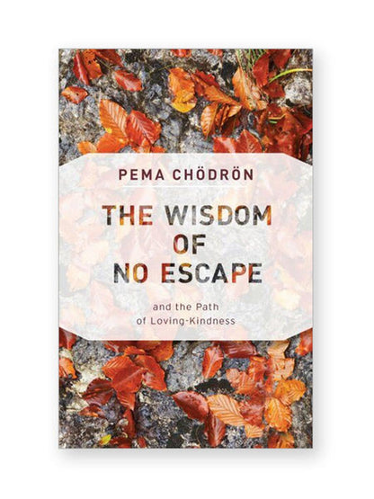 The Wisdom of No Escape by Pema Chödron