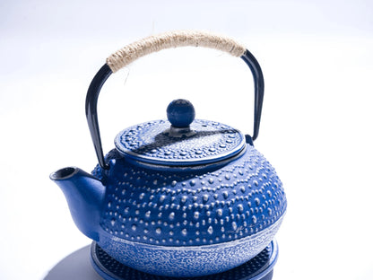 Blue Cast Iron Japanese Teapot – 27oz Enamel with Infuser & Trivet