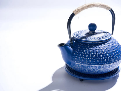 Blue Cast Iron Japanese Teapot – 27oz Enamel with Infuser & Trivet