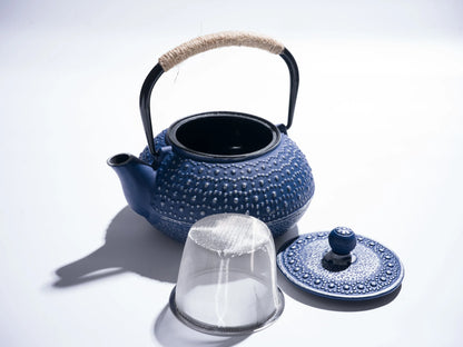 Blue Cast Iron Japanese Teapot – 27oz Enamel with Infuser & Trivet