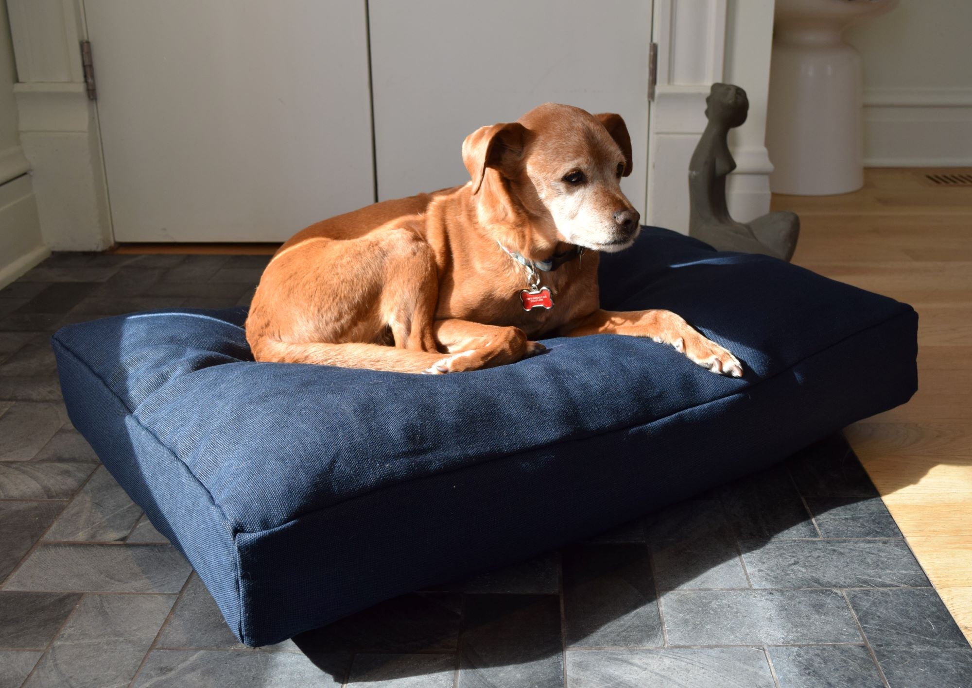 Hemp Dog Bed – Organic Latex Foam for Mindful Pets