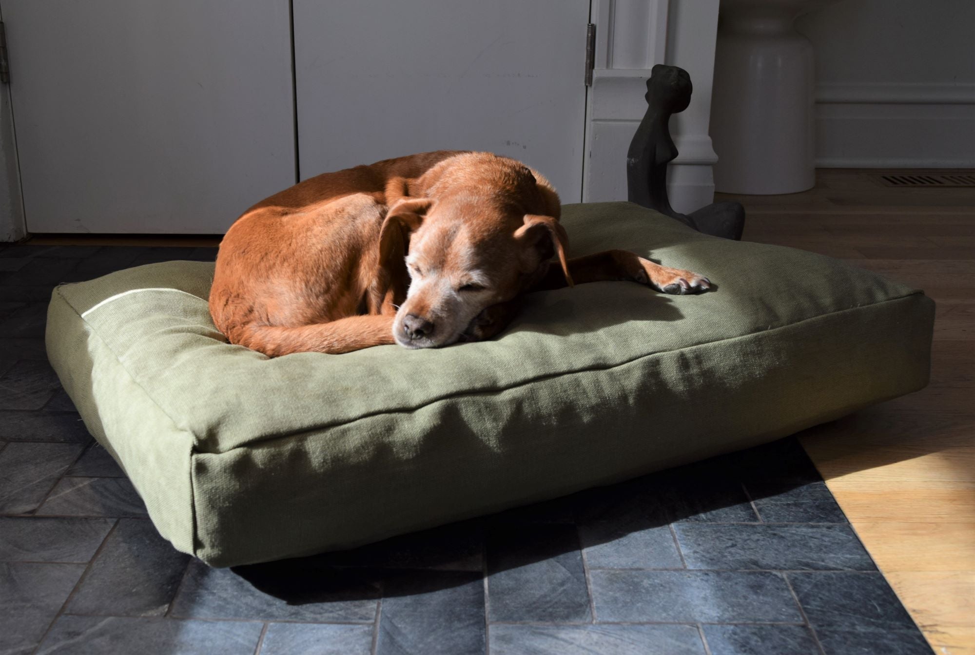 Hemp Dog Bed – Organic Latex Foam for Mindful Pets