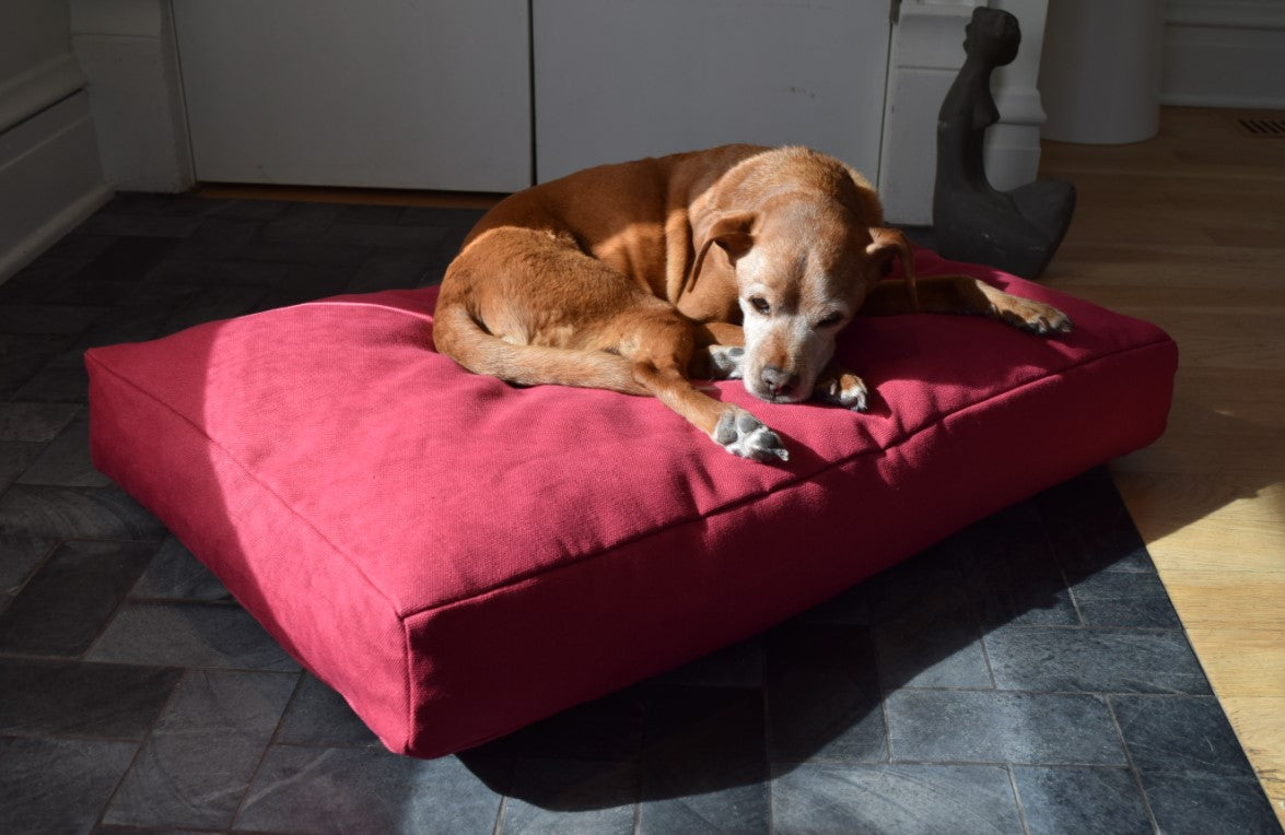 Hemp Dog Bed – Organic Latex Foam for Mindful Pets