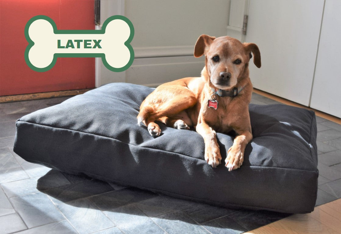 Hemp Dog Bed – Organic Latex Foam for Mindful Pets