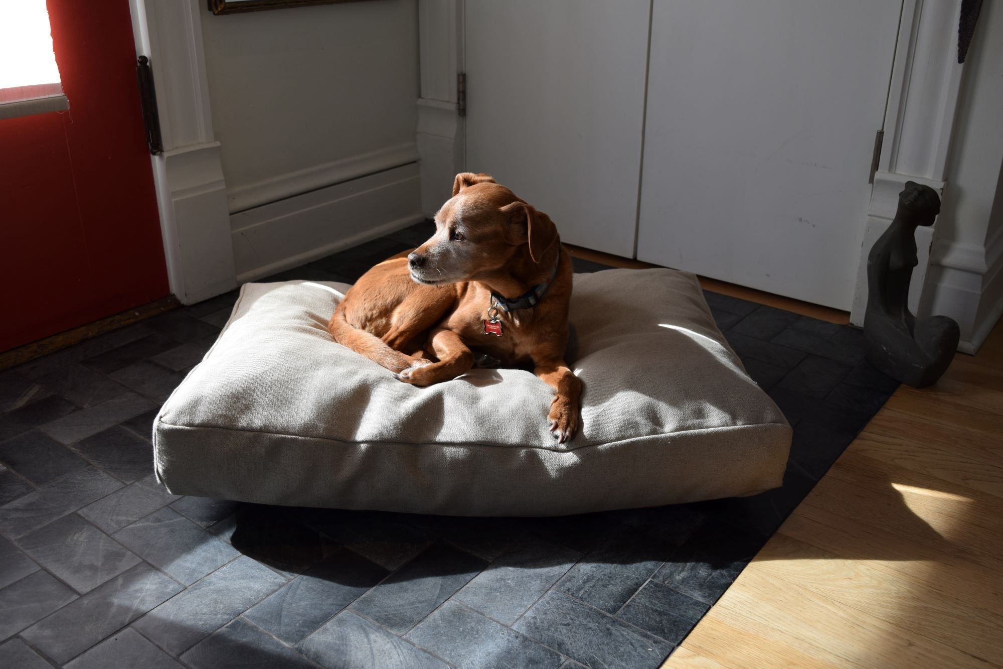 Hemp Dog Bed – Organic Latex Foam for Mindful Pets